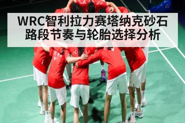 WRC智利拉力赛塔纳克砂石路段节奏与轮胎选择分析